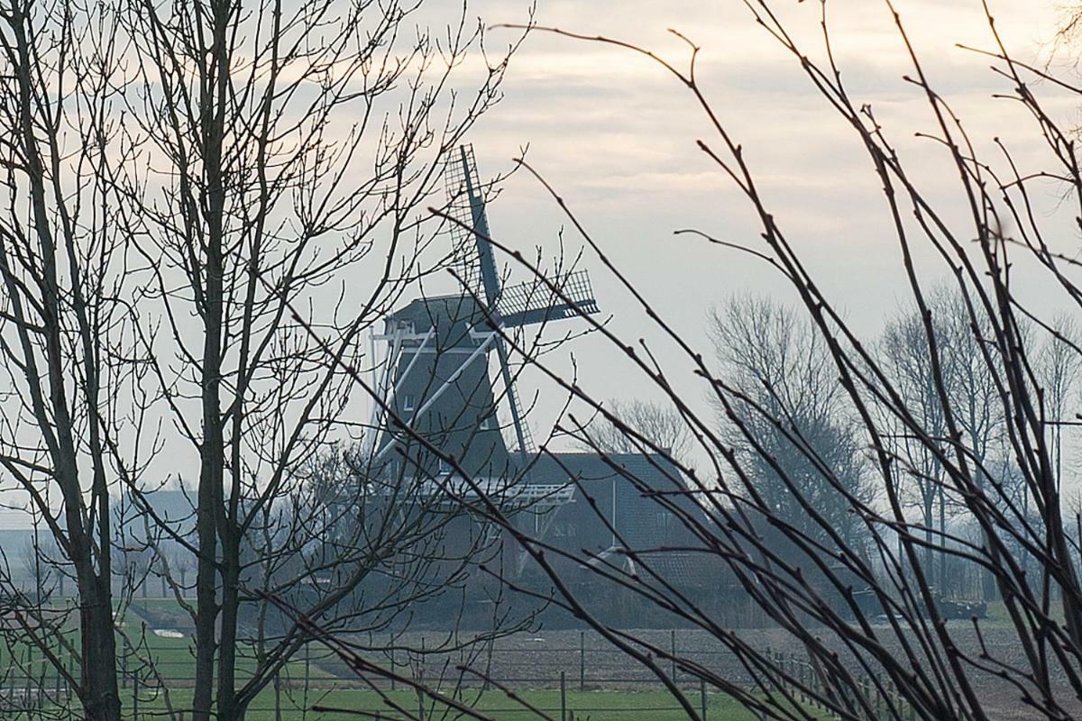 B&B Lauwersstate Paesens Esterno foto